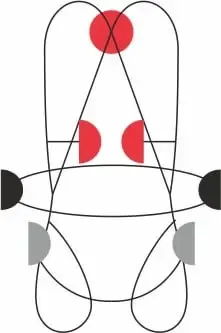 Привязь страховочная ELEKTRON S-L, CAMP